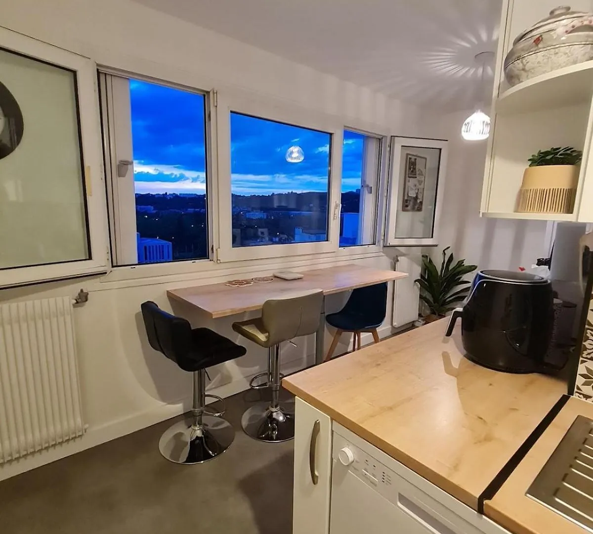 Appartement Entier Proche Du Parc De La Tete D 'Or Villeurbanne